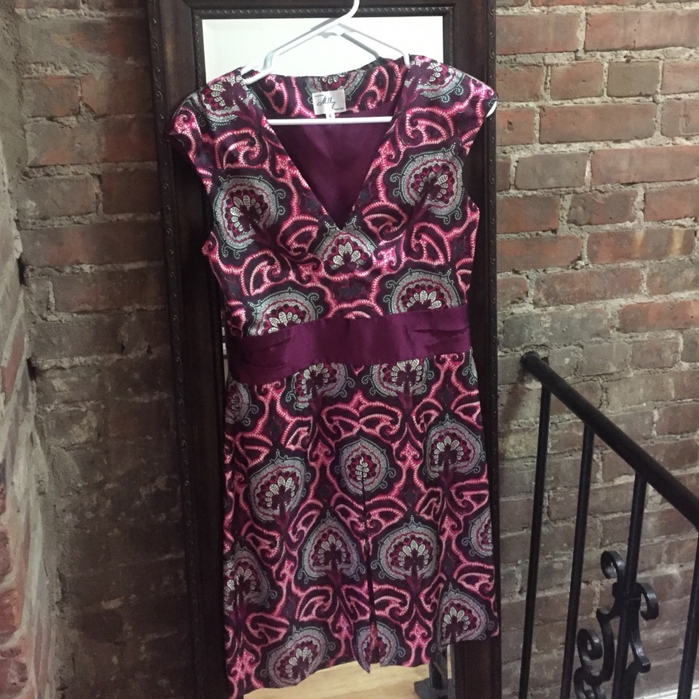 Milly 100% Silk Paisley Dress 6